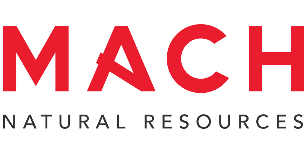 Logo 4